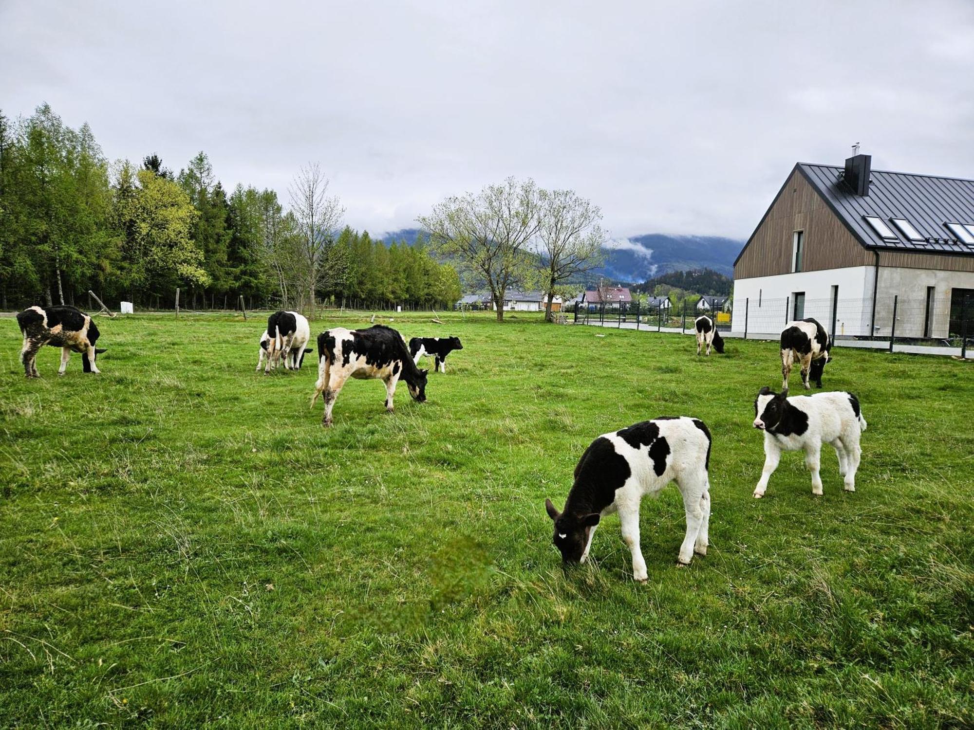 Zacisze W Karkonoszach Karpacz Exterior foto